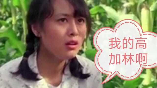 路遥小说《人生》中爱情选择和人生起伏:选白玫瑰或红玫瑰?