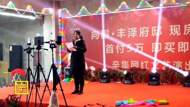 向阳丰泽府邸辛集网红文艺演出晚会开幕词