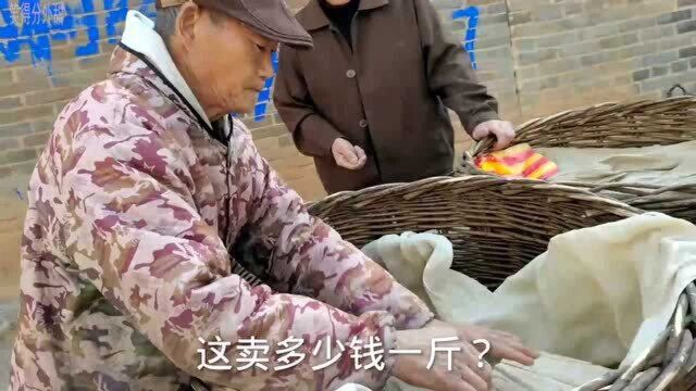 70多岁大爷卖豆腐,卖多少钱一斤?大爷感叹大家都嫌卖的贵!