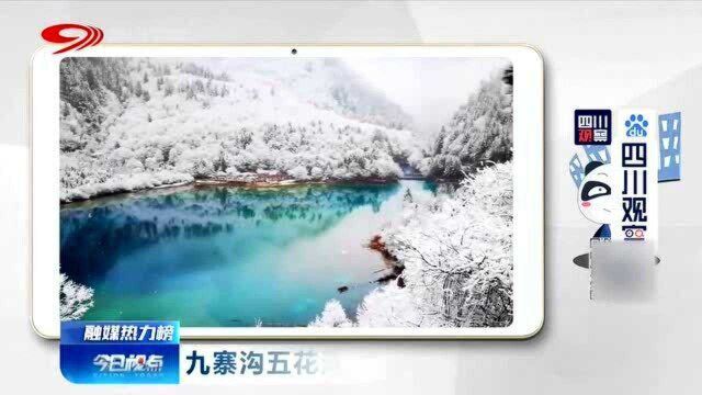 冰雪世界!九寨沟五花海飘雪啦 宛如仙境!