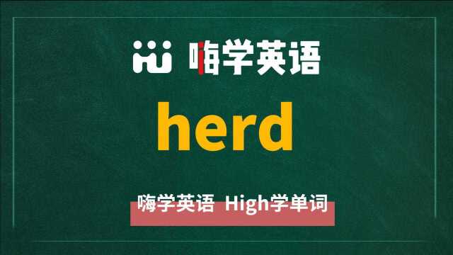 英语单词herd是什么意思,同根词有吗,同近义词有哪些,相关短语呢,可以怎么使用,你知道吗