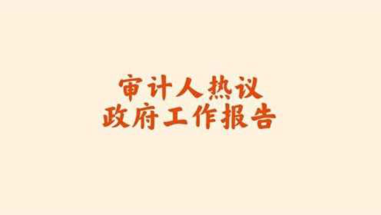 审计人热议政府工作报告河北省沧州市审计局郭睿