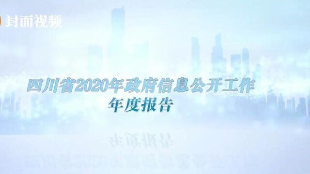 2020年度四川省政府信息公开了什么? 一分钟速看