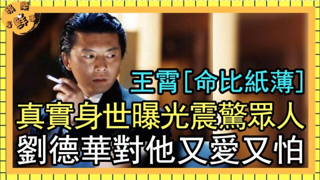 「最帅反派」王霄命比纸薄,真实身世曝光震惊众人,刘德华对他又爱又怕