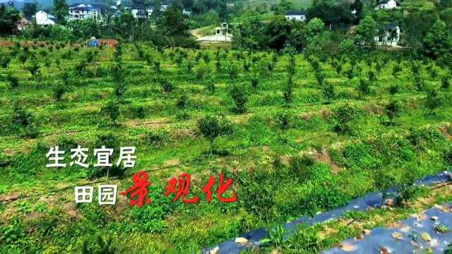 震撼视频|农村“双十万工程”,见证渝北大地之变!