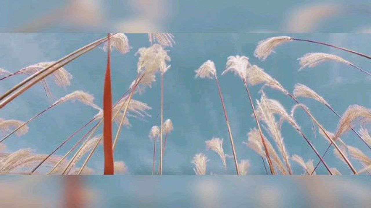 “少年就是少年，他们看春风不喜，看夏蝉不烦，看秋风不悲，看冬雪不叹。”