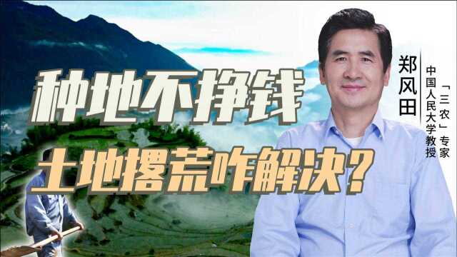 耕地是农民命根子,为啥还撂荒?郑风田:要粮食安全先保农民赚钱