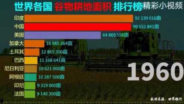 2021年世界各国谷物耕地面积排行榜 !