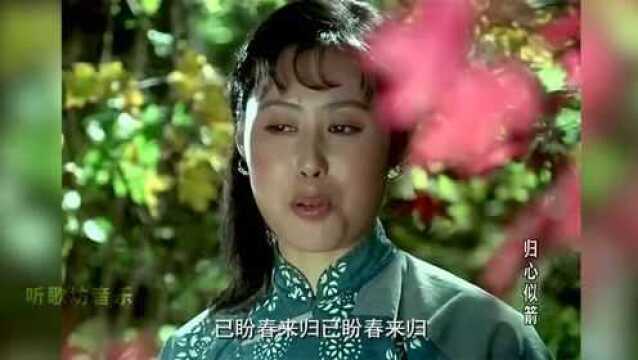 这才是《雁南飞》真正的原唱,40年了,旋律响起满满的回忆!