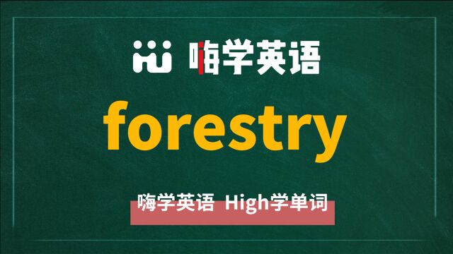 一分钟一词汇,小学、初中、高中英语单词五点讲解,单词forestry讲解