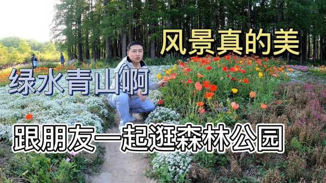 五一休息一天跟朋友一起森林公园游玩,风景漂亮啊