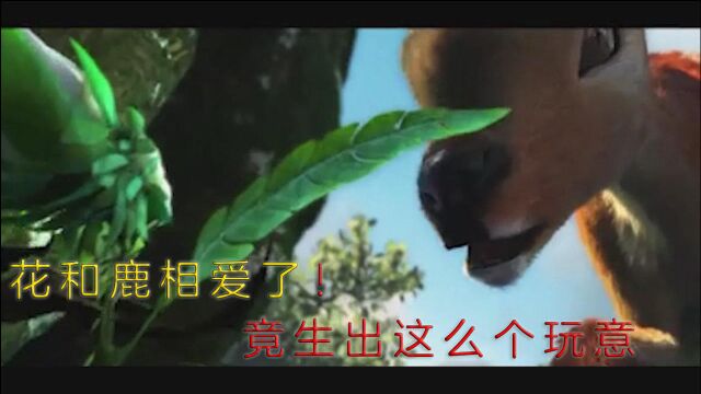 雌花爱上了梅花鹿,竟委托蚊子帮忙,和梅花鹿繁育出了后代