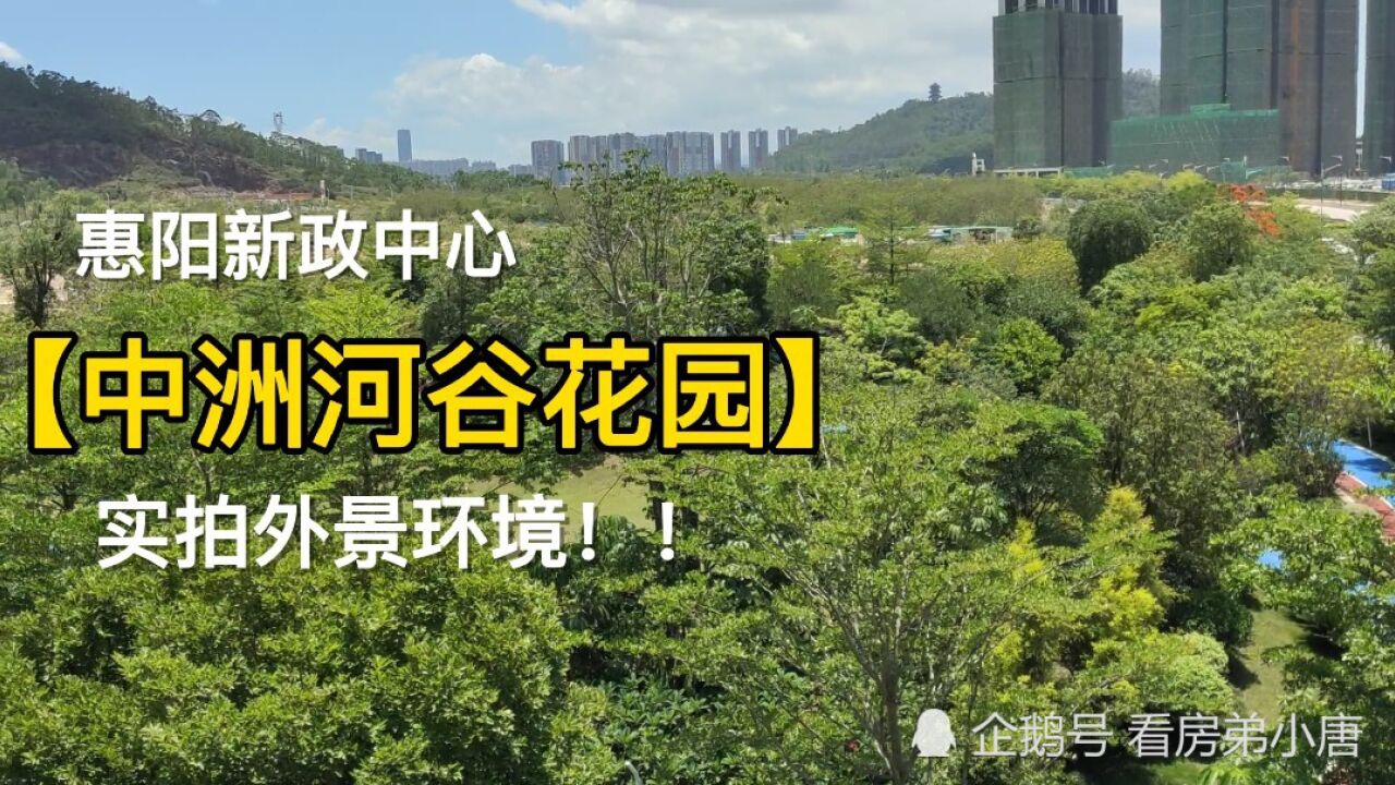 实拍惠州惠阳区中洲河谷花园外景环境达到了新的高度