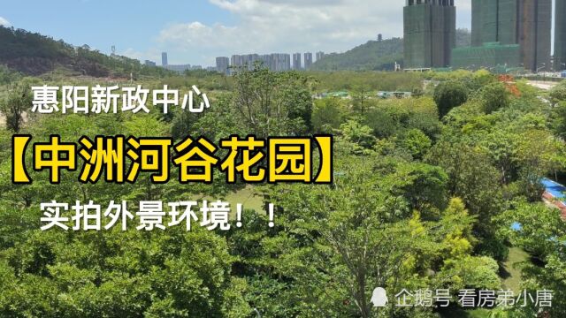 实拍惠州惠阳区中洲河谷花园外景,环境达到了新的高度