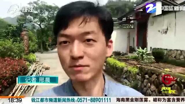 沿着高速看浙江 景宁:一纸诗意满畲寨 畲乡风情引客来