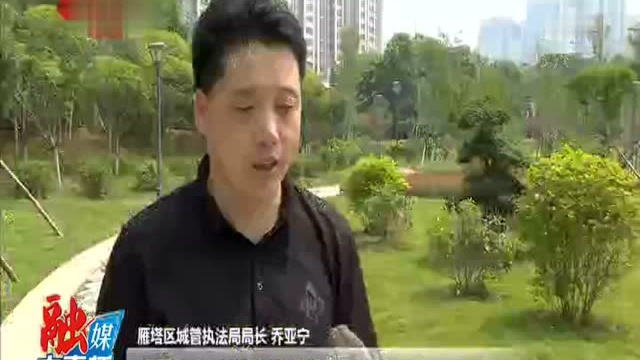 十项重点工作巡礼 雁塔区绕城高速长安路出入口绿化提升项目完工