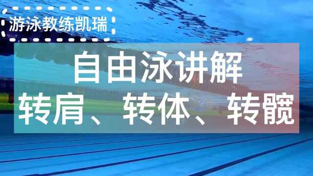 学习自由泳入门详细讲解转肩、转体、转髋的重点教程