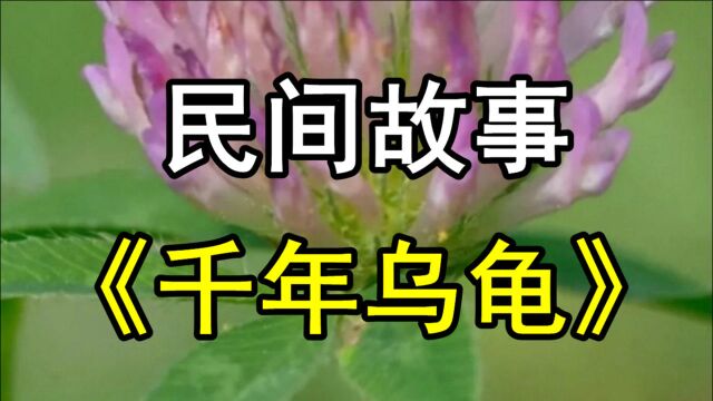 民间故事:从前有个樵夫上山砍柴口渴来到山泉边喝水看到一只乌龟