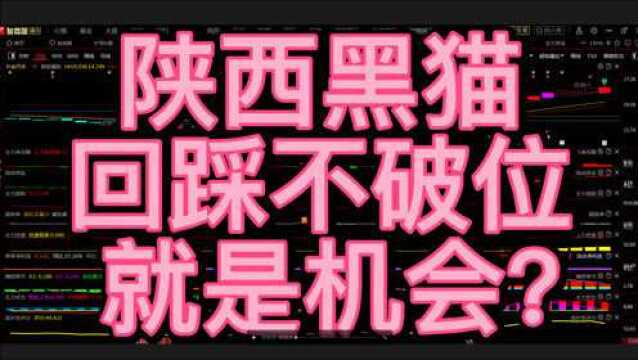 陕西黑猫,回踩不破位,就是机会?