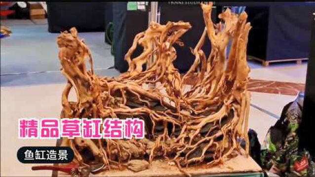 10个草缸造景,把它们放进鱼缸,你家就会出现一片“热带雨林”