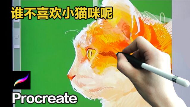 procreate 一刀没剪系列 黄金脆皮质感小猫咪.