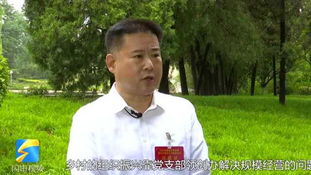 全面推进乡村振兴 | 滕海强:以党建为引领 三化共进助力乡村振兴