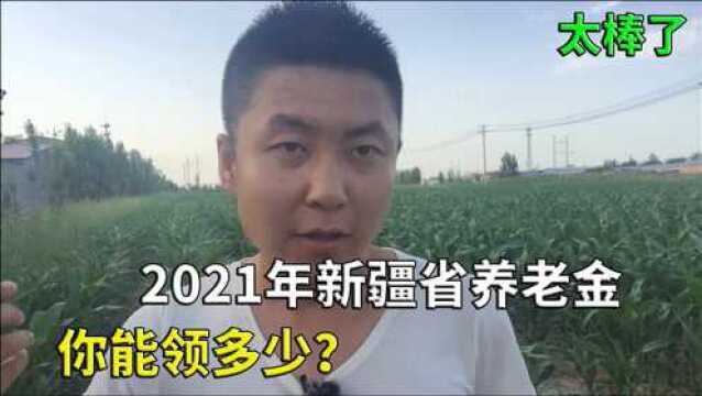 2021年新疆养老金方案出台