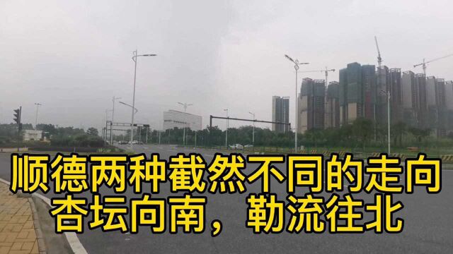 佛山顺德两种截然不同的走向,杏坛向南勒流往北,说明什么问题?