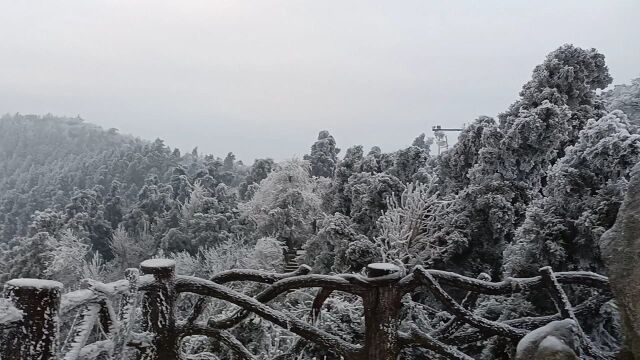 带你游南岳衡山之茫茫山野