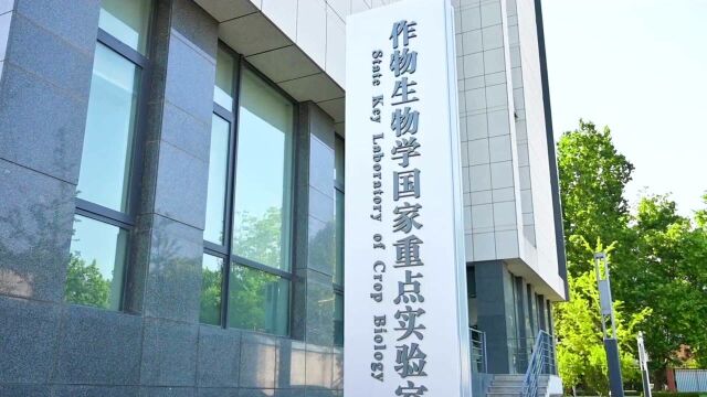 专业的秘密:山东农业大学种子科学与工程专业