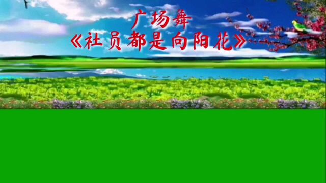 经典老歌回放《社员都是向阳花》广场舞