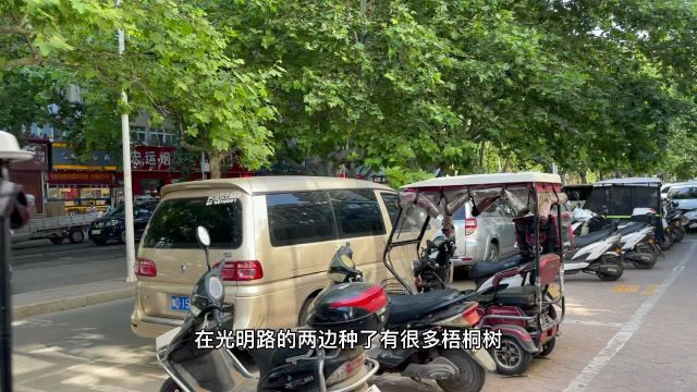 河南省平顶山市,别名鹰城,古时为应国,中国优秀旅游城市