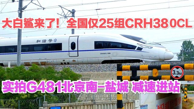 大白鲨来了!G481北京南到盐城,全国仅有25组的CRH380CL担当