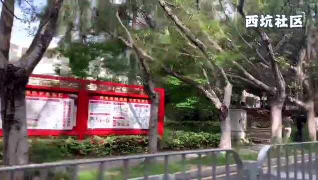 抗疫“攻守道”背后的龙岗之治