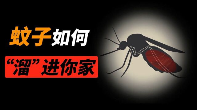 蚊子究竟能飞多高?为什么无论住几楼都有蚊子?