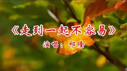 Thumbplayer Poster Plugin Image