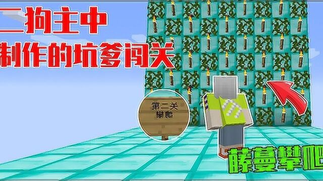 二狗主中制作的闯关:藤蔓攀爬,这也太高了吧!