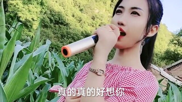 一首《我是真的好想你》节奏动感,人美歌美好听极了