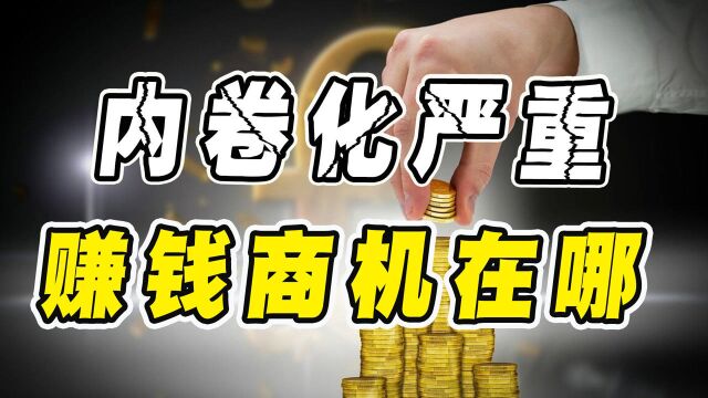 2021年以后,经济内卷化严重,最好的赚钱商机是什么?