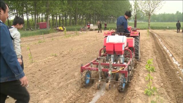 花生也要“快准狠”?河南牛人造花生播种机,3秒实现多功能播种