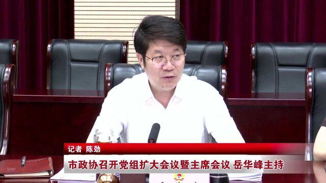 市政协召开党组扩大会议暨主席会议 岳华峰主持