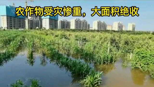 河南卫辉市依然内涝严重!