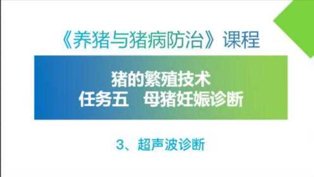 《养猪与猪病防治》课程九:母猪的妊娠诊断3、超声波诊断