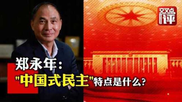 郑永年谈中国式民主:这是一个定义的问题!