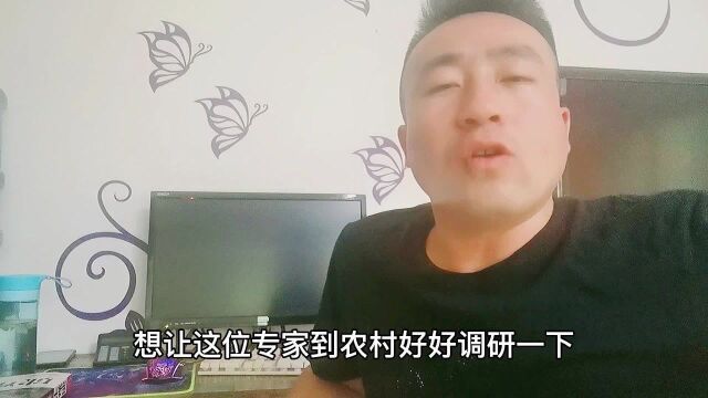 当今农民种1亩地一年能收入多少?专家说已经破万,你敢相信吗?