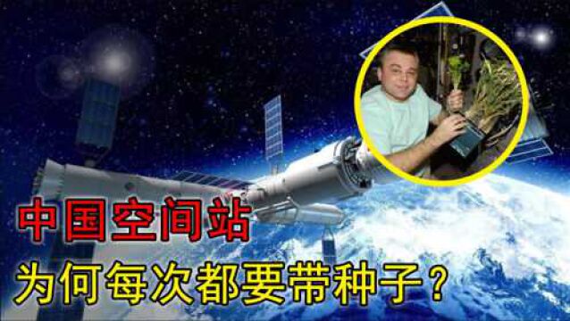 太空育种!拯救我国2000亿粮食市场,太空种子这么神奇?