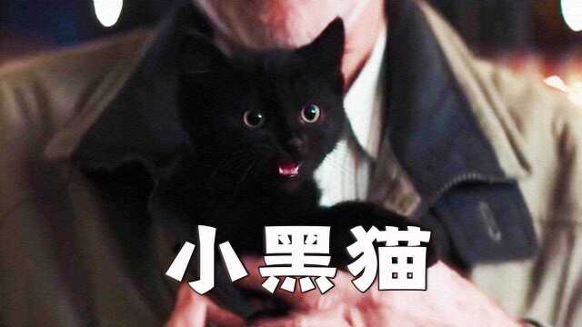 一只神奇的小黑猫只要叫一声,就可以让人好运#电影种草指南大赛#