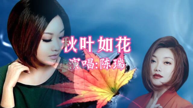 陈瑞有磁性的嗓音演唱《秋叶如花》歌声委婉动听,百听不厌