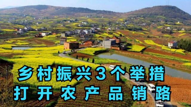 农业部发展乡村振兴3个举措,如何打开农产品销路?官方给出答案