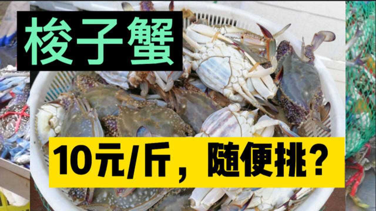 野生鲜活梭子蟹售价10元一斤!8月份大量梭子蟹从哪里来?